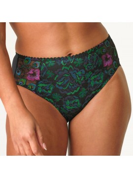 Prima Donna San Angel Full Brief